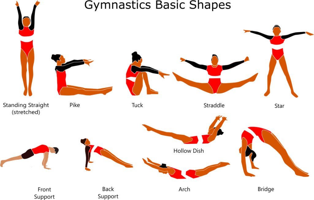 Gymnastic Basic shapes